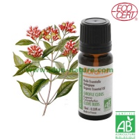Aceite Esencial de Clavo 100% Bio FLORAME